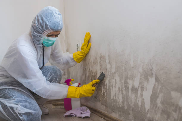 Best Certified Mold Removal  in Oakland, NJ