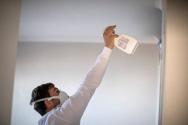 Best Mold Remediation  in Oakland, NJ