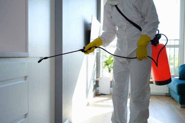 Best Home Mold Removal  in Oakland, NJ