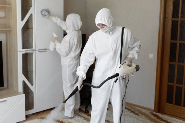 Best Attic Mold Removal  in Oakland, NJ