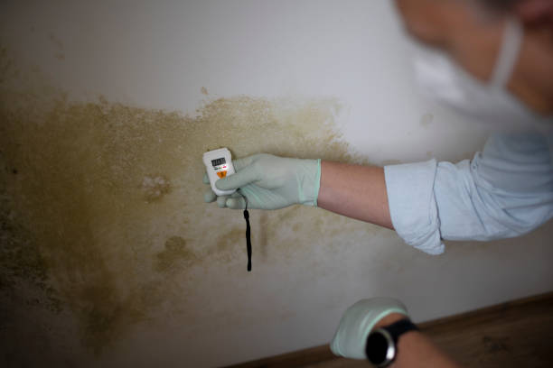Best Mold Testing  in Oakland, NJ