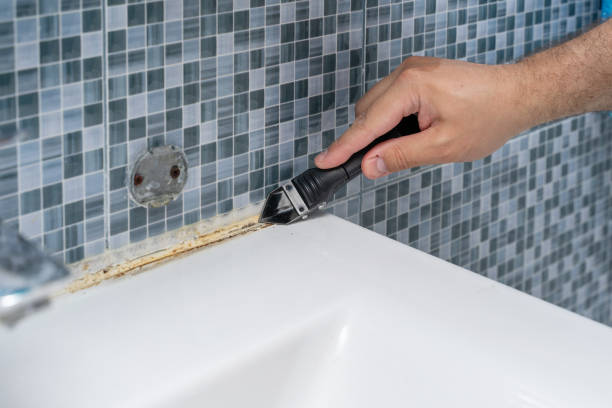 Best Residential Mold Removal  in Oakland, NJ