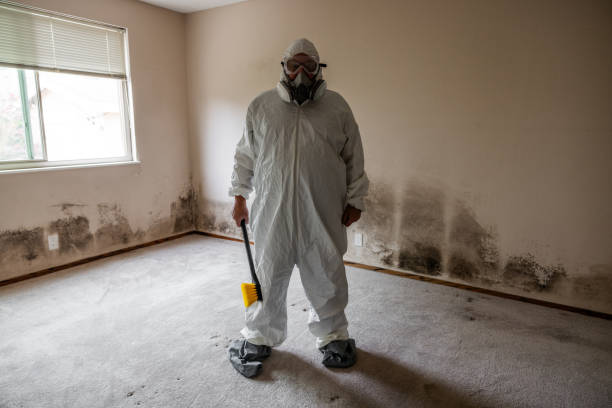 Mold Removal Process in Oakland, NJ